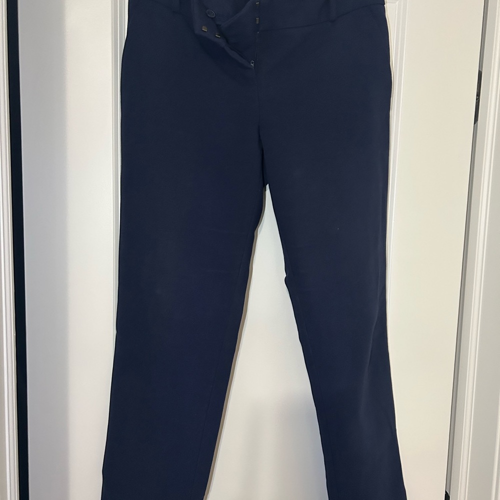 The Limited Navy Ankle Pants